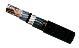 553��˫��ִ���װ�͵���